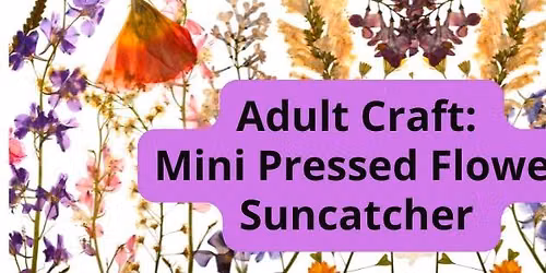 Adult Craft: Mini Pressed Flower Suncatcher 