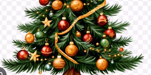 Rest Haven Nursing Home Christmas Project