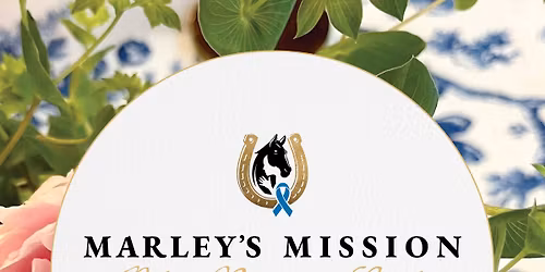 15th Annual Blue Ribbon Gala