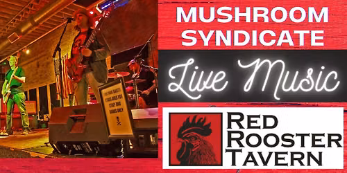 Live Music-Velvet Mushroom Syndicate