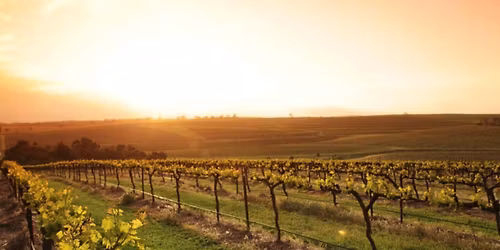 PALM26 parkrun - Clare