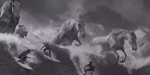 Summerside Race Night