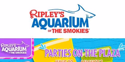 Parties on the Plaza
