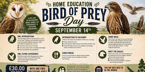 Home Education Bird of Prey Day