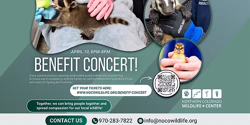 Benefit Concert Featuring Steve and the Cruisers