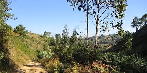 Caminhando no Sobreiro e no Vale do Rio Cuco