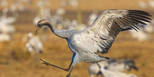 OBS NY DATO - Bilde \u201cPotpurri\u201d med Geir Dahlman \u00e5ret 2025