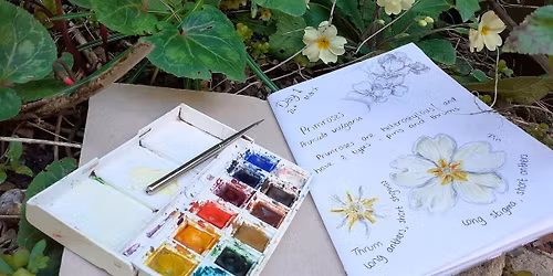 Belfairs nature scrapbooking for families