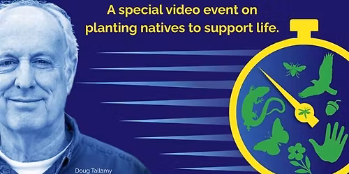 "What's the Rush" Tree Board Video Presentation