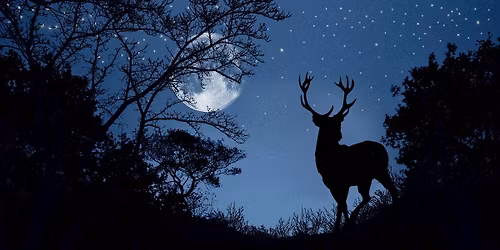 Tajomstv\u00e1 no\u010dn\u00e9ho \u017eivota\/presp\u00e1va\u010dka v ekocentre