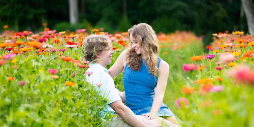 Flower Field Minis - Kaelynn Alaina Photography