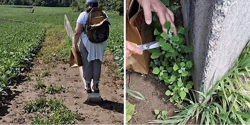 Artist Panel: The Practice of Earthwork