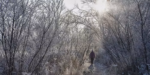 Winter Stroll - Sutton Courtenay, Saturday 28 February