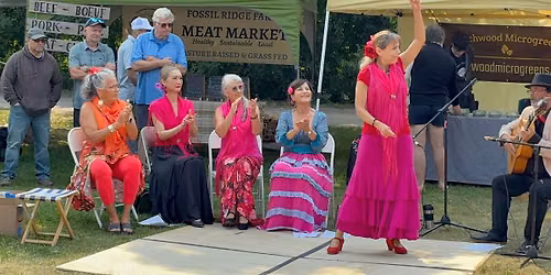 The Flamenco for Food and Fun Project