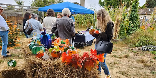 Glass Pumpkin Patch at the Santa Cruz Live Oak Grange