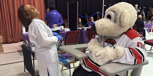 Charlotte Health Fest presented by Novant Health and LabCorp