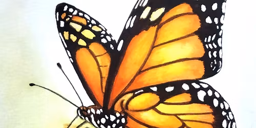 Monarch Moment: A Watercolor Experience