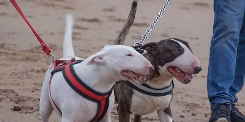 Ainsdale Beach Bullie Walk