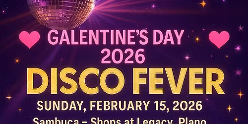 Galentines Disco Fever