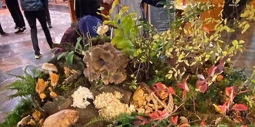 Oregon Mycological Society Fall Mushroom Show
