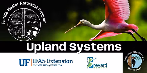 Florida Master Naturalist Program (FMNP) Upland Systems Info Page