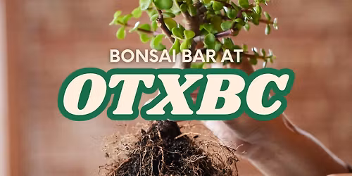 Bonsai Bar