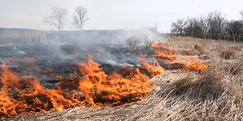 Habitat Restoration & Prescribed Fire Demonstration