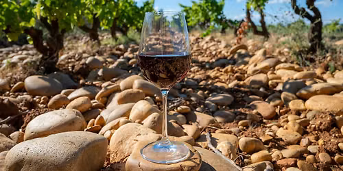 Road trip series: Rh\u00f4ne Valley (Charcuterie pairing)