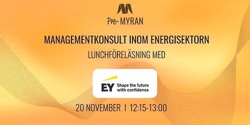 Managementkonsult inom energisektorn med EY Consulting