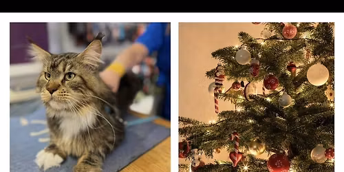 Jule-moro p\u00e5 Buddy Metro