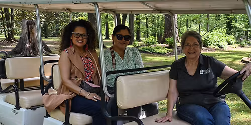 Spring Tram Tours