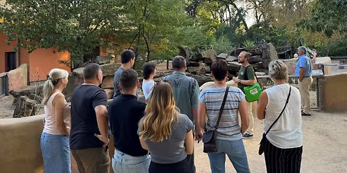 Abend-Safari durch den Zoo!