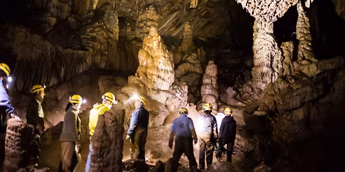 Wild Caving