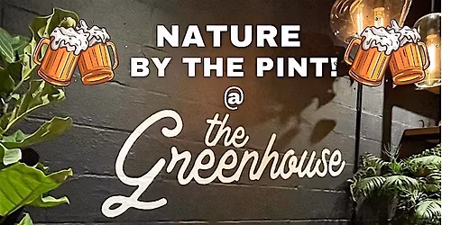 December Nature by the Pint by Patrick Kelly