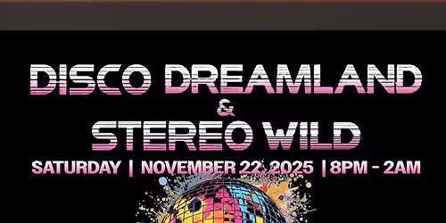 Disco Dreamland & Stereo Wild
