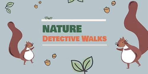 Nature Detective Walk November 2025: Lange Erlen