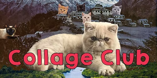Collage Club