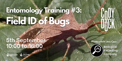 Entomology Training #3: Field ID of Bugs