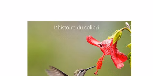 L'histoire du colibri et la p\u00eache aux d\u00e9chets \/ Het verhaal van de kolibrie en het vissen op afval