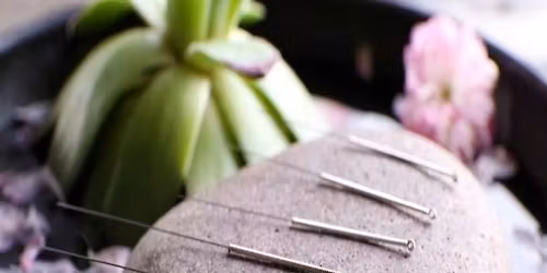 Shamanic Acupuncture Happy Hour  |  In-person