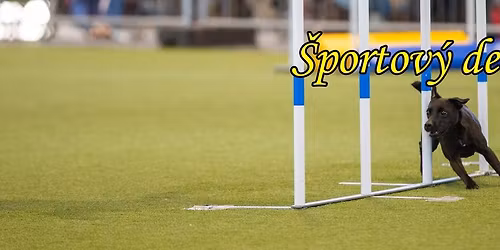 \u0160portov\u00fd de\u0148 pre terierov SKCHTaF