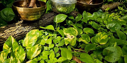 Wellness Wednesday Sound Bath Meditation with Scarlet Button