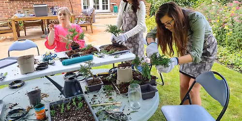 Create a Bonsai Experience in a Streamside Garden