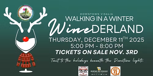 DTV Winter Wine Walk