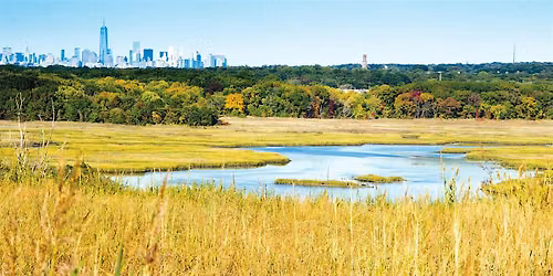Freshkills Park Climate Week: Nature Walk