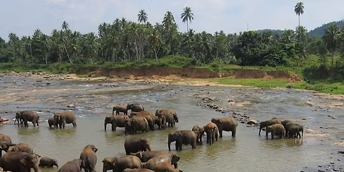 Sr\u00ed Lanka a Maledivy ve 3D