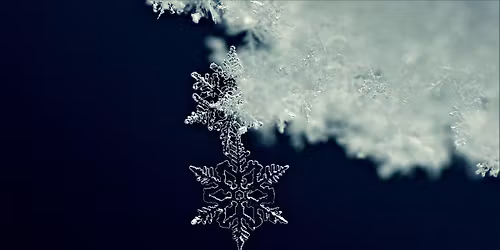 Winter STEM