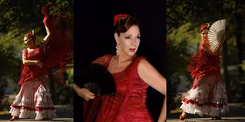 Noche Flamenca \/ Tere G\u00f3mez e Invitados