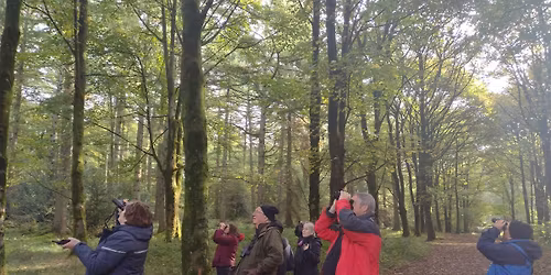 Birdwatching \u2013 Understanding More About Autumn Birds  (Tuesdays)