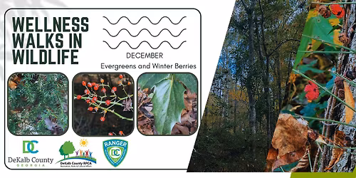 Wellness Walks in Wildlife - MOT